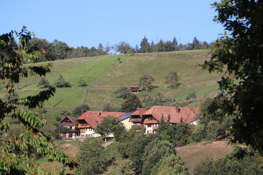 Haus mit Umgebung